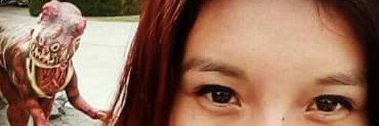 IvonLITTLE's profile banner image