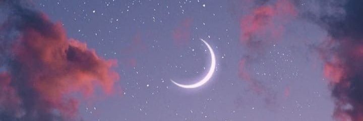 sofiamarulandac's profile banner image
