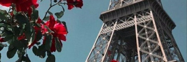 orianaiglu's profile banner image