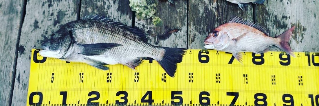 Lime@ファイト♪ banner