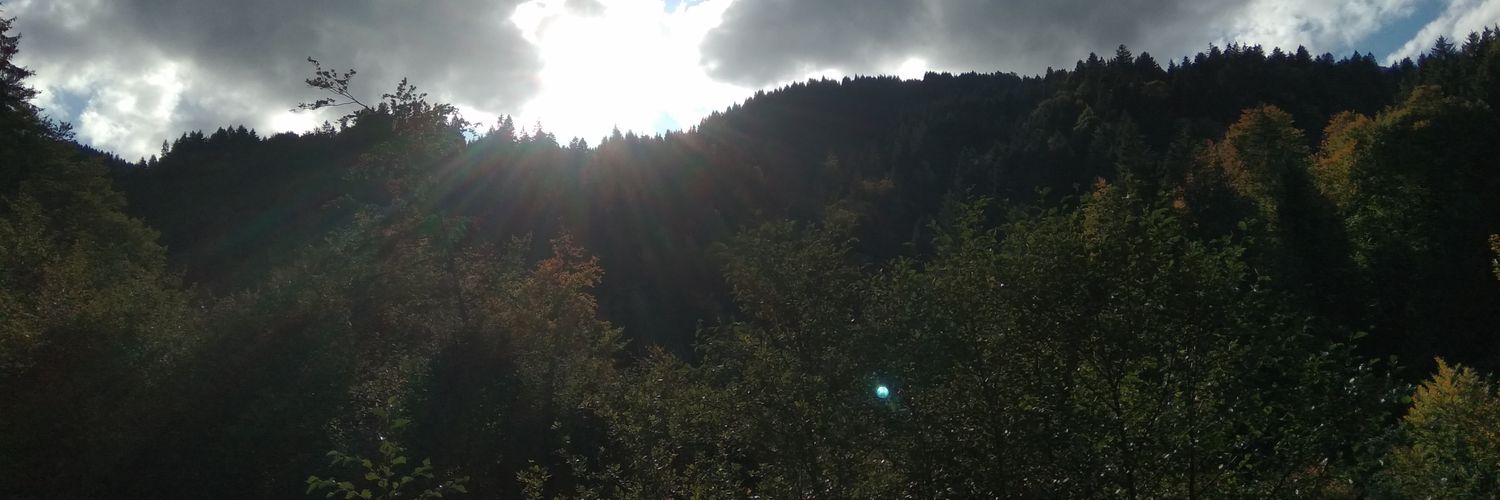 HasanGelgi's profile banner image