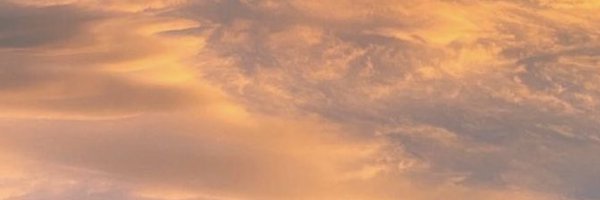 madnessworldd Profile Banner