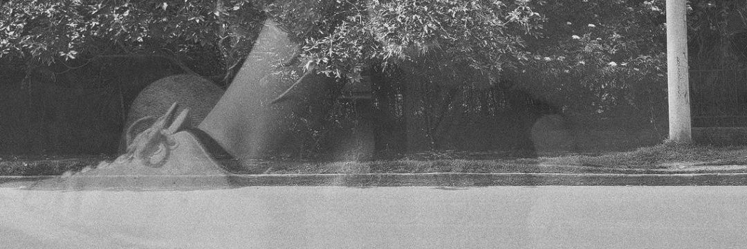 HILODEVIDA's profile banner image