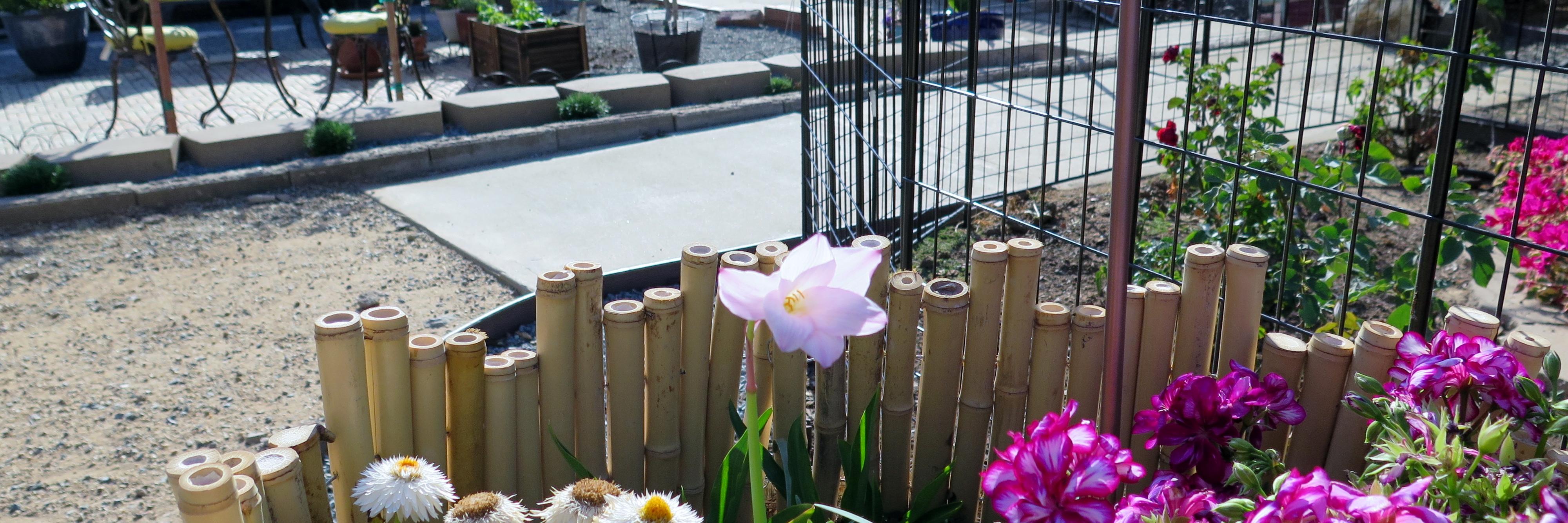 Oshcoy's profile banner image
