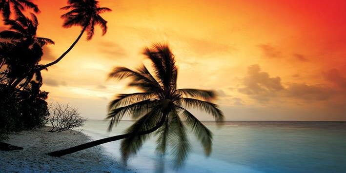 LovingMaldives's profile banner image