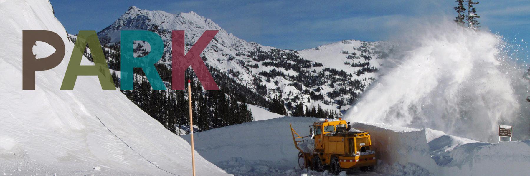 Hurricane Ridge NPS banner