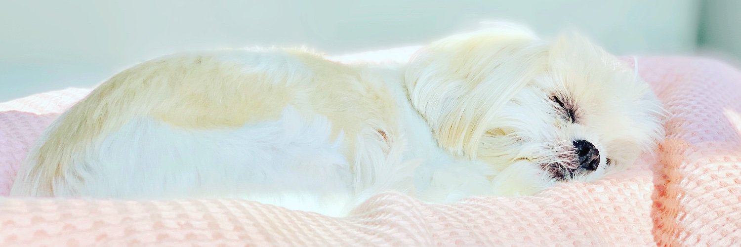 willemss's profile banner image