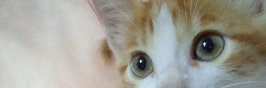 AnairamLM's profile banner image