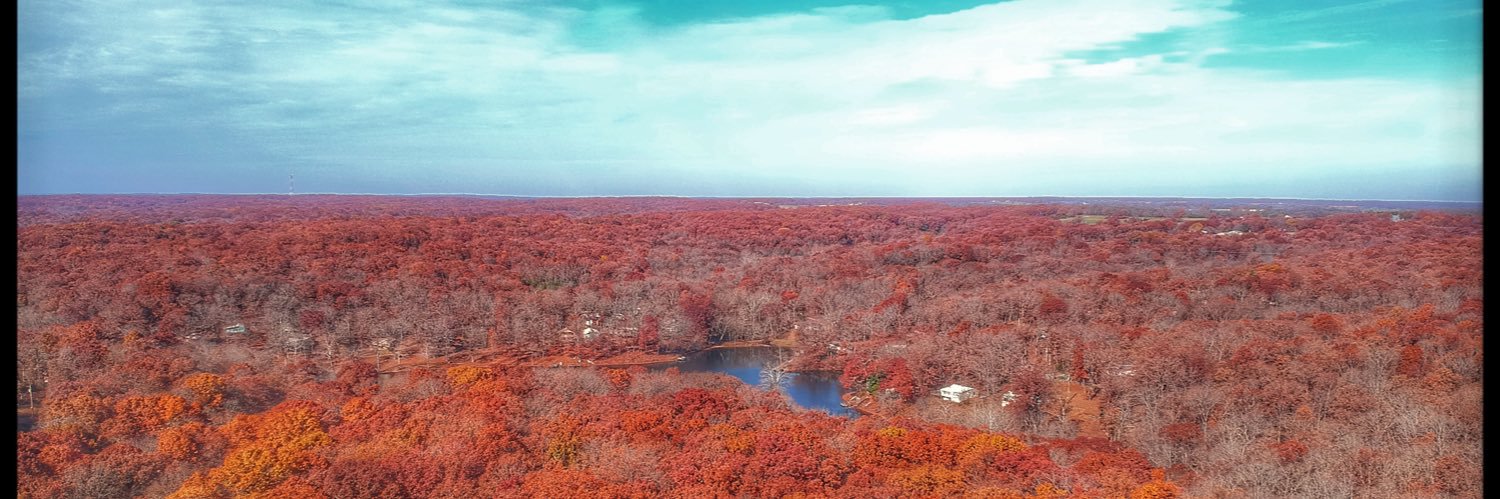 B R E N D A L Y N banner