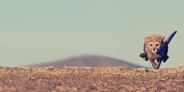 andy_pandy609's profile banner image