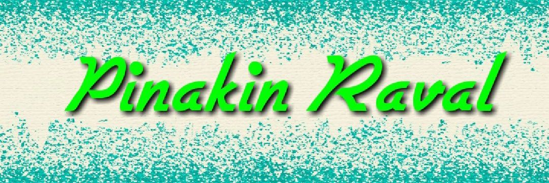 Pinakin Raval banner