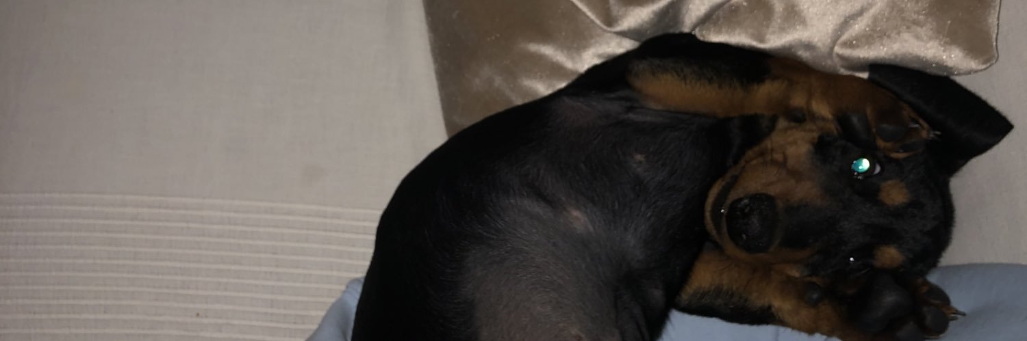 lauralauraa99's profile banner image