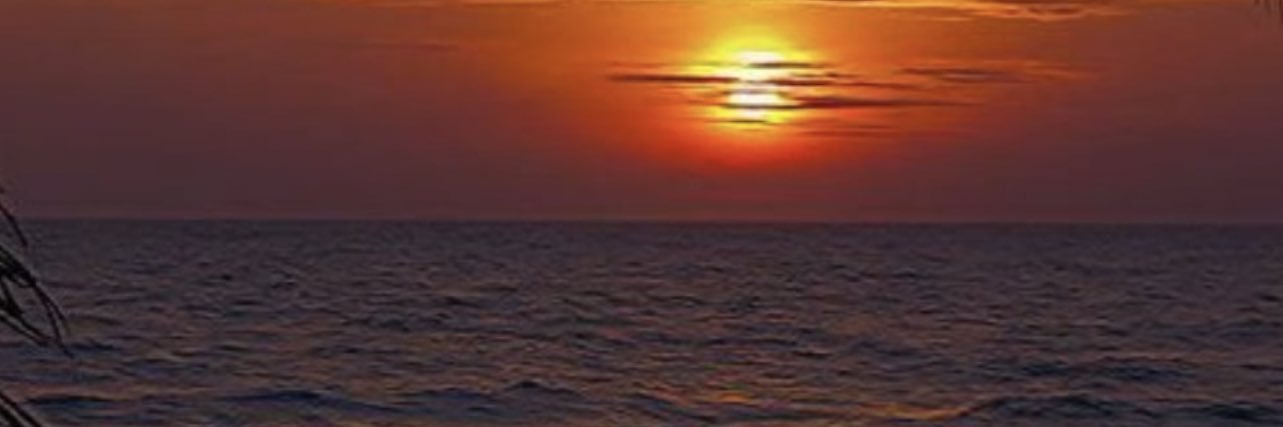elexis_bibi's profile banner image