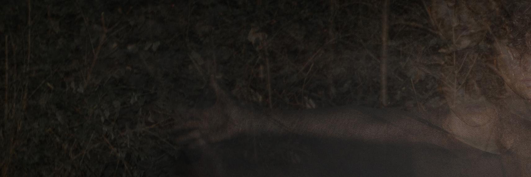 _articulando_'s profile banner image