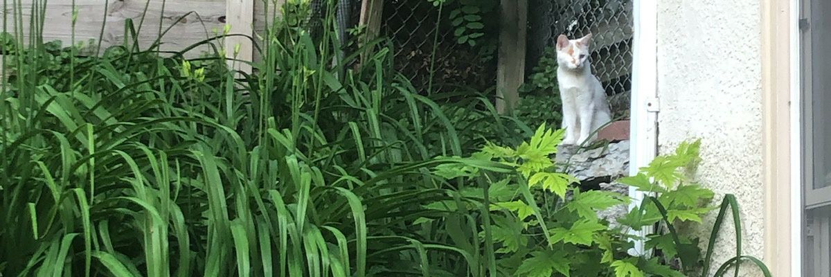 Jjuniper715's profile banner image