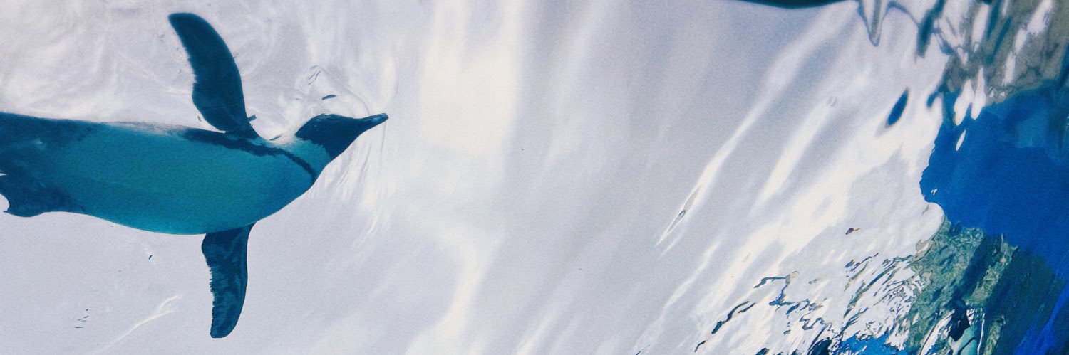 浅田京磨 banner