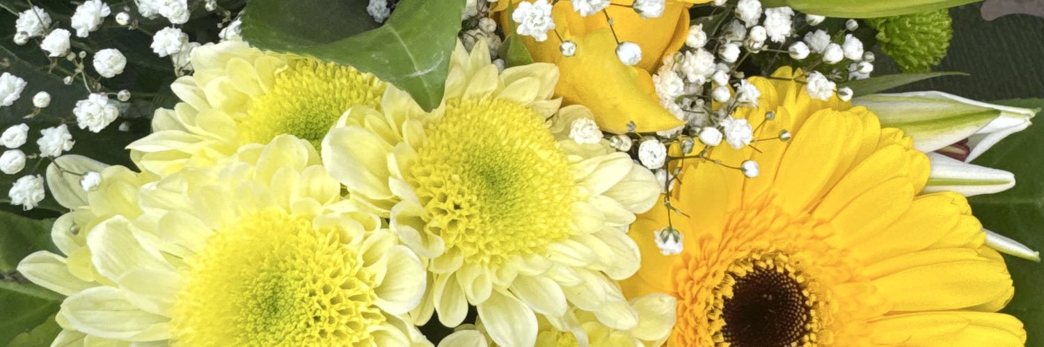 AudeVancau's profile banner image