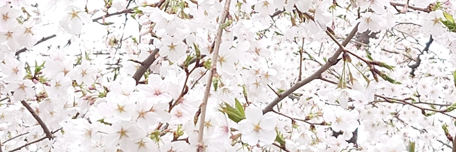 herbs7793's profile banner image