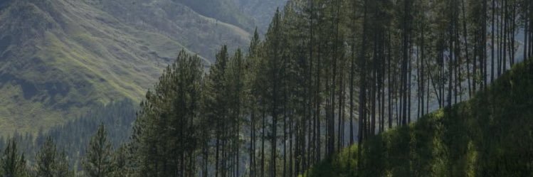 jsubsofly's profile banner image