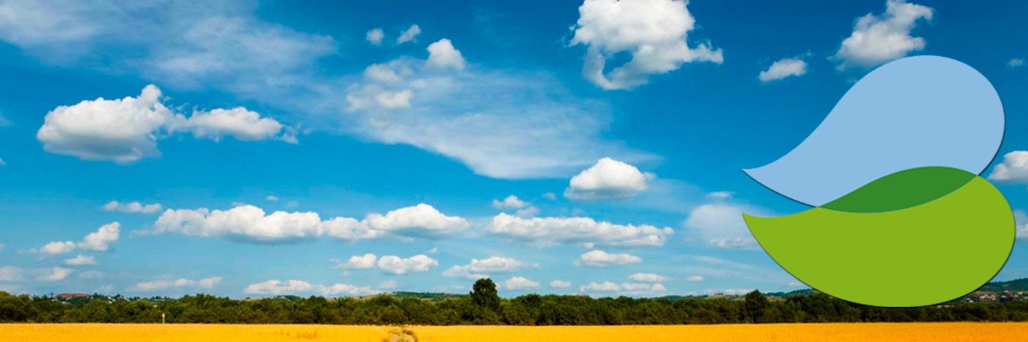 Grupo Bocel banner