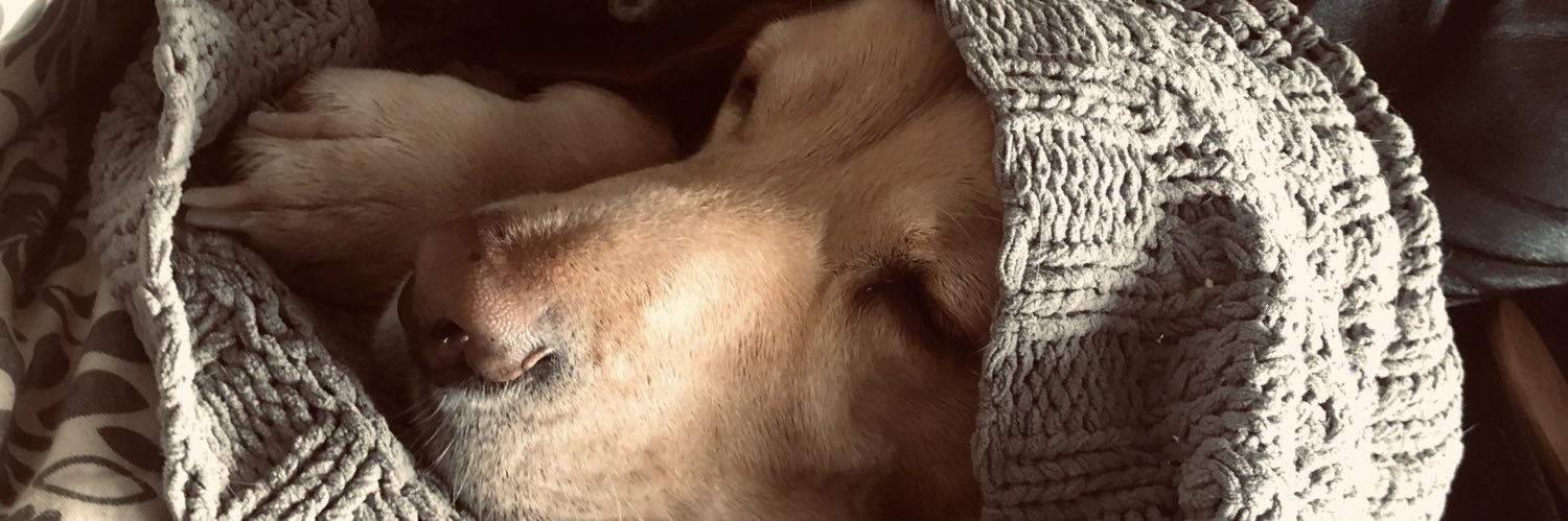 Rumkie's profile banner image