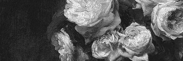 ⁘ Savine ⁘ banner