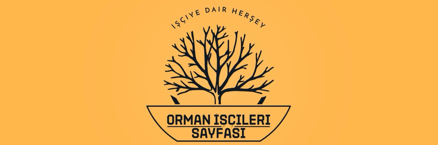 mormaniscileri's profile banner image