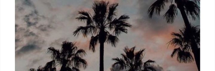 FloopiCano's profile banner image