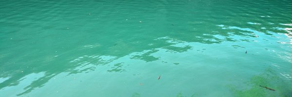 jacobandreas Profile Banner