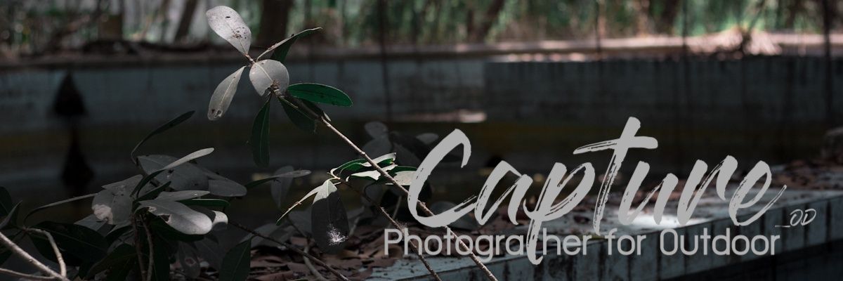 capture_od's profile banner image