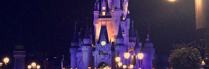 bianca_passaro's profile banner image