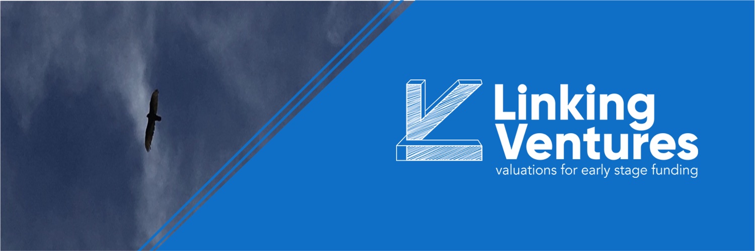 LinkingVentures banner