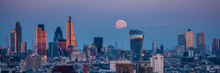 Maria Simpson banner