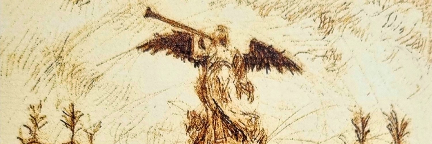 IVivasTeson's profile banner image