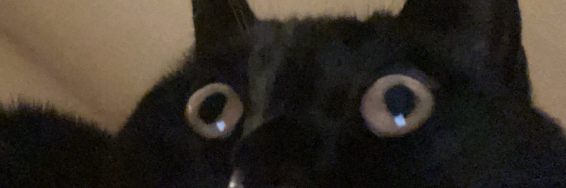amarigato's profile banner image