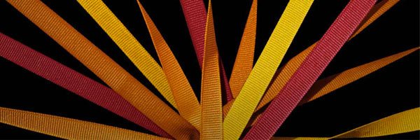 dtessaro's profile banner image