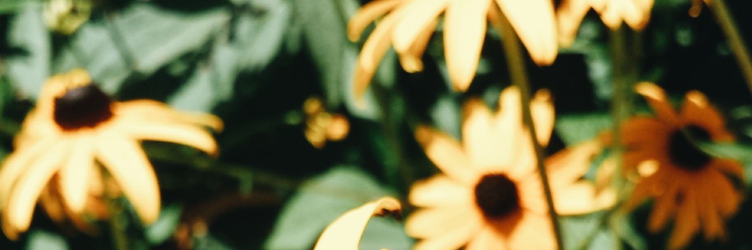 ElleCarre's profile banner image