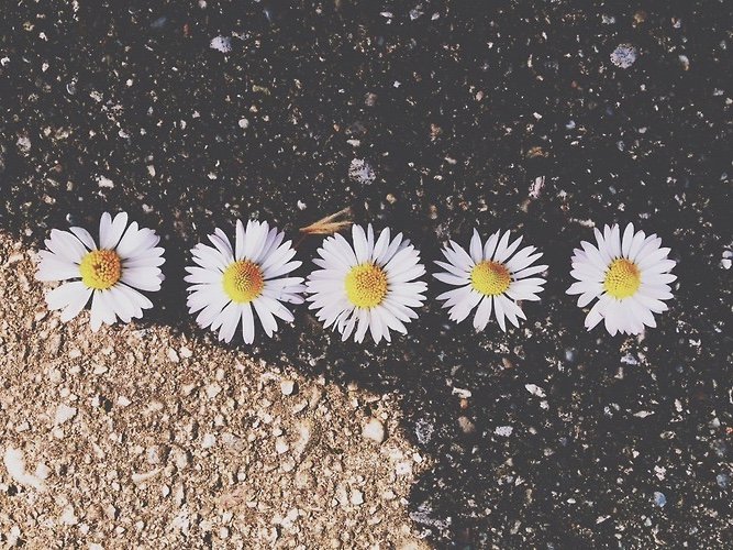 melissa_rae's profile banner image