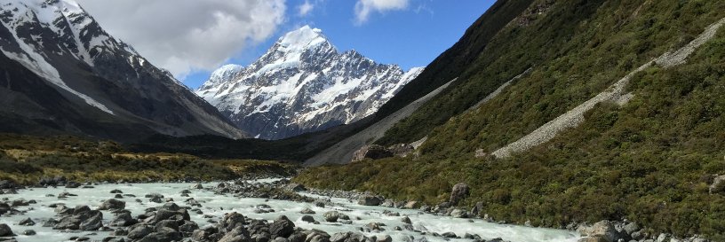 Joshua Miller banner