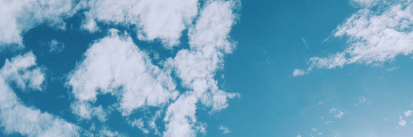 ねこぱんち banner