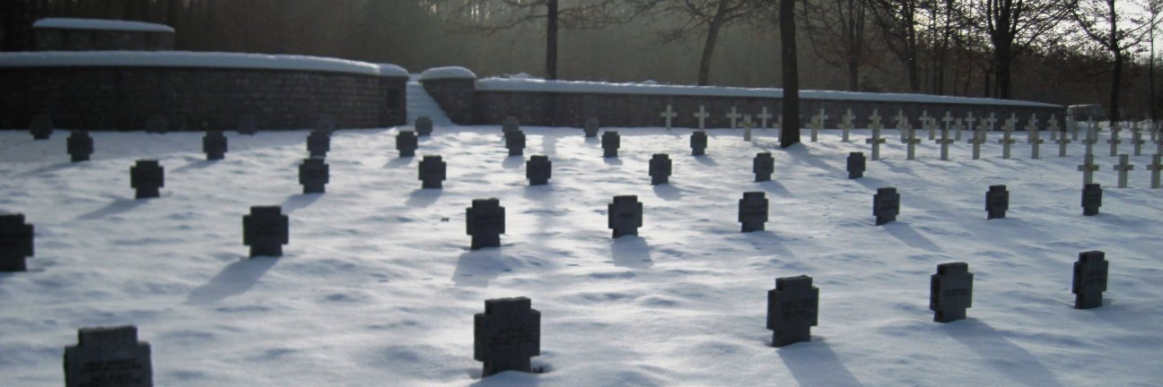 Steve Marsdin banner