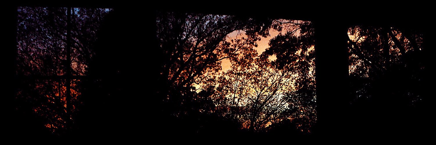a_shoyat's profile banner image