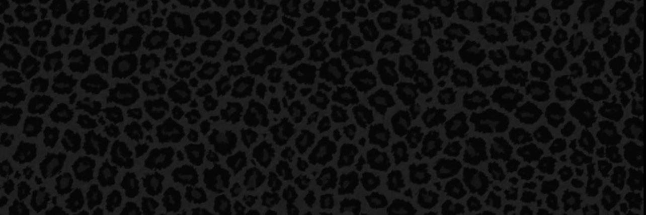 JayMustBeMe's profile banner image