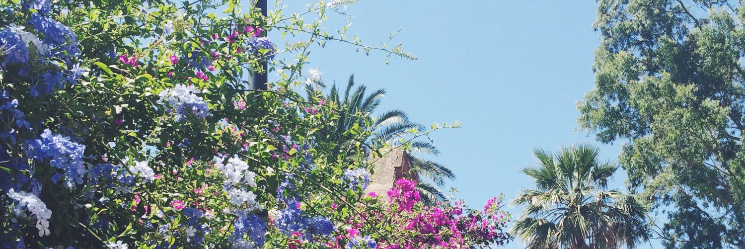 ellenpeh's profile banner image