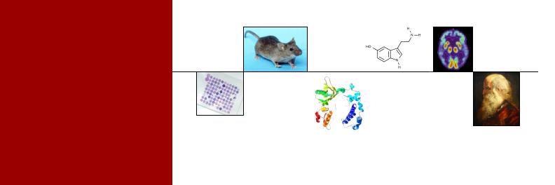 Aging Science News's banner