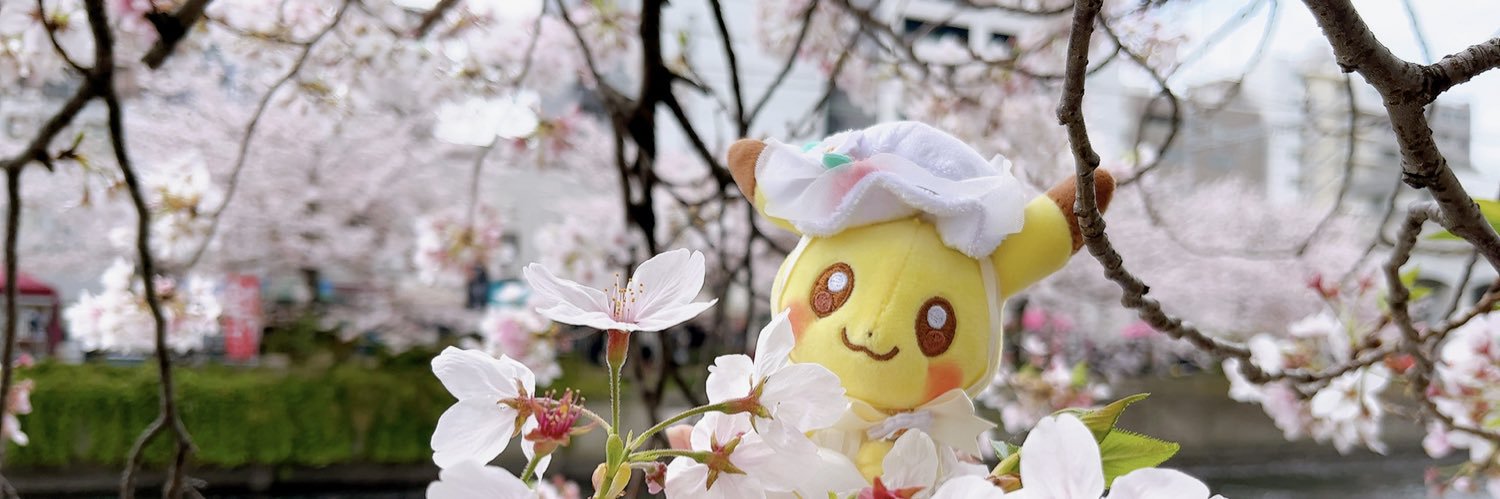 chidaffy's profile banner image