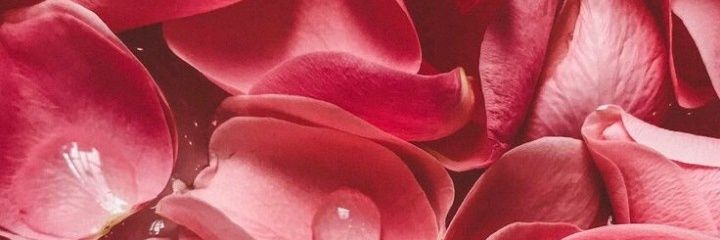 nayesym's profile banner image