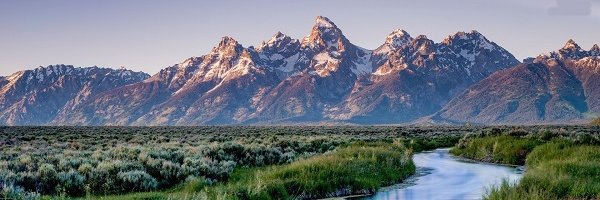 TLStevener Profile Banner
