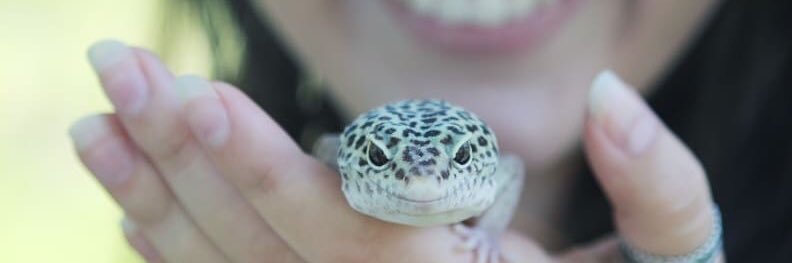 Imhoffsnakes's profile banner image