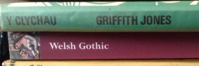 Plashing Vole Now On Bluesky banner